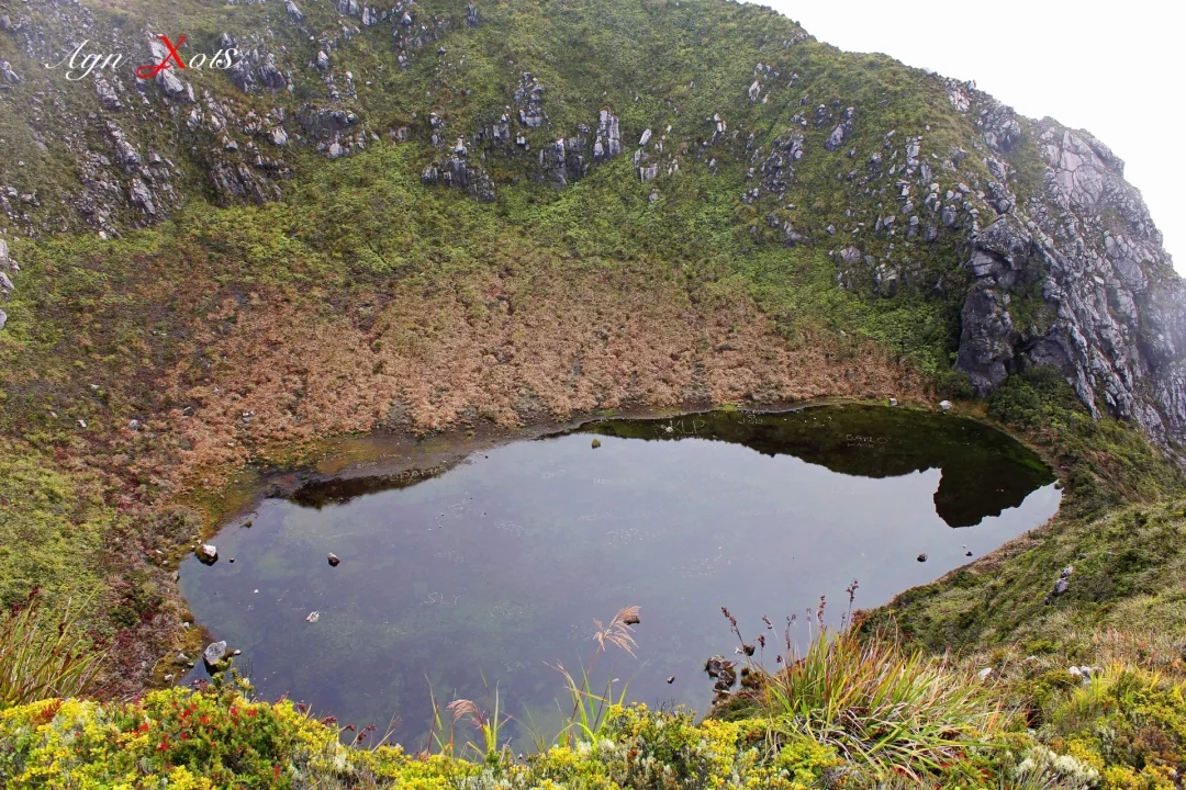 MOUNT APO NATURAL PARK   Mandangan Trail - Image 5