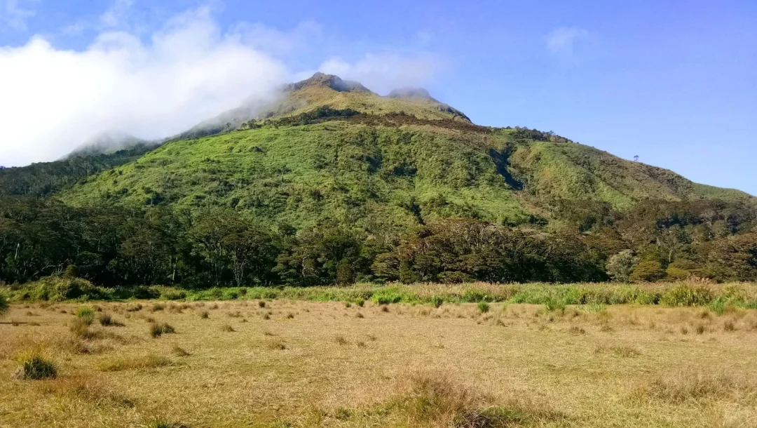 MOUNT APO NATURAL PARK   Mandangan Trail - Image 3