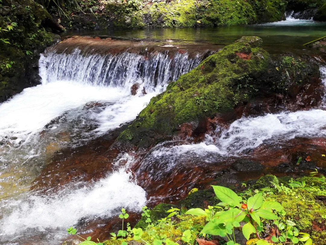 PANIKI FALLS ECO-RIVER PARK Umpan Village, Balabag, Kidapawan City - Image 7