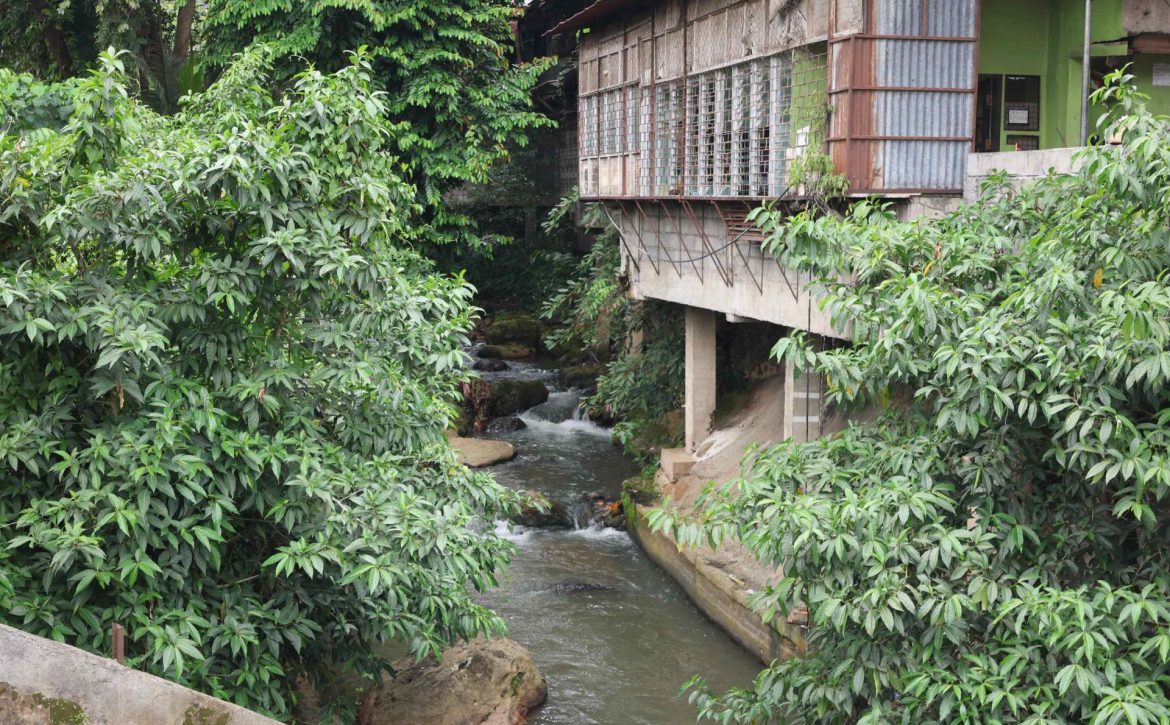sapa