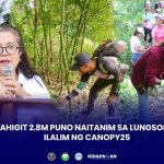 MAHIGIT 2.8M PUNO NAITANIM SA LUNGSOD SA ILALIM NG CANOPY25