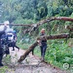 CDRRMO NAGSAGAWA NG CLEARING OPERATIONS SA DAAN