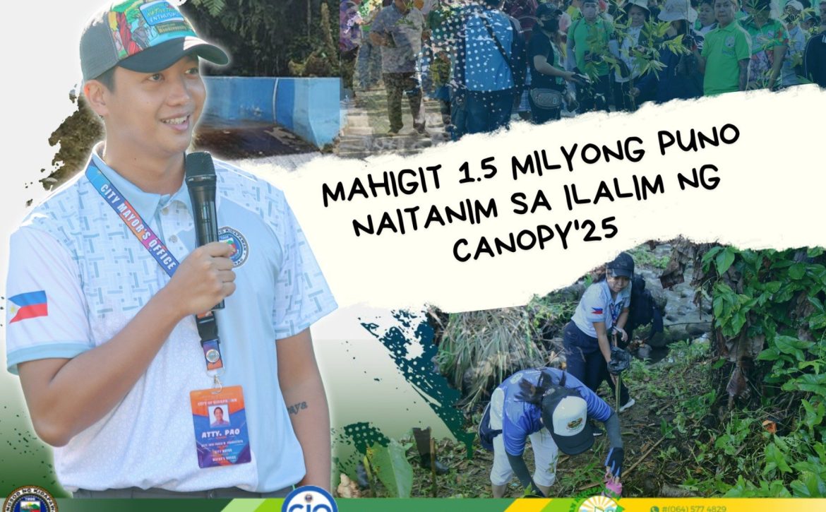 canopy 25